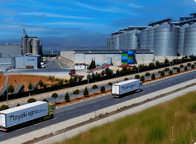 Yurtdışı Tesislerimiz